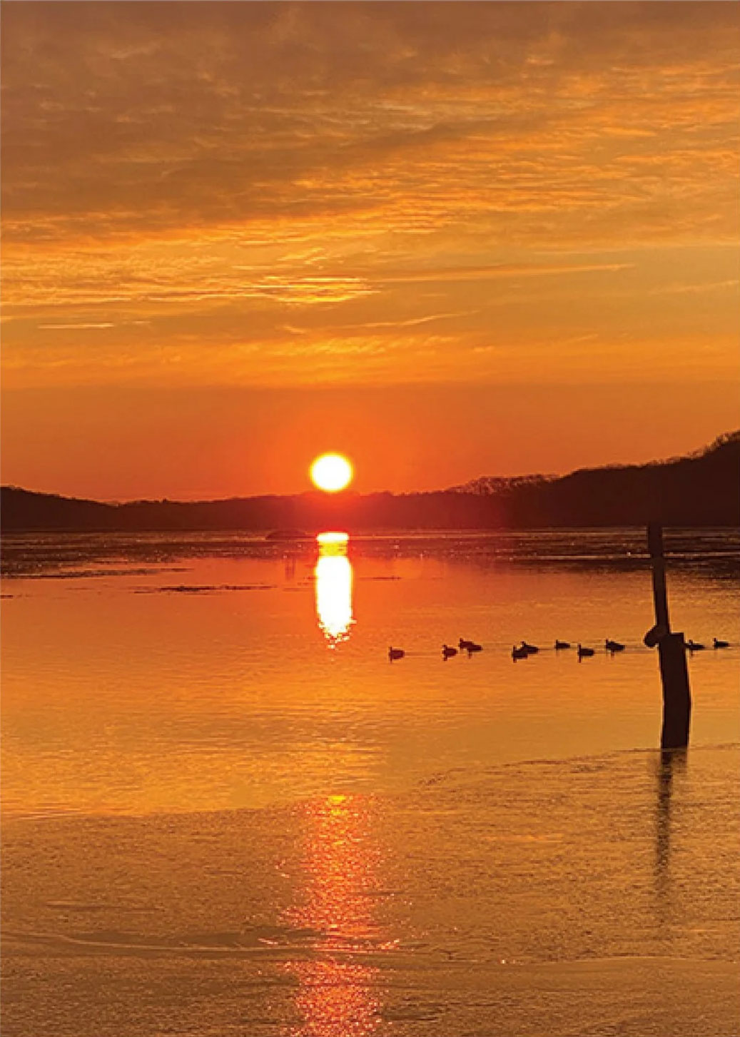 Red Sky spread