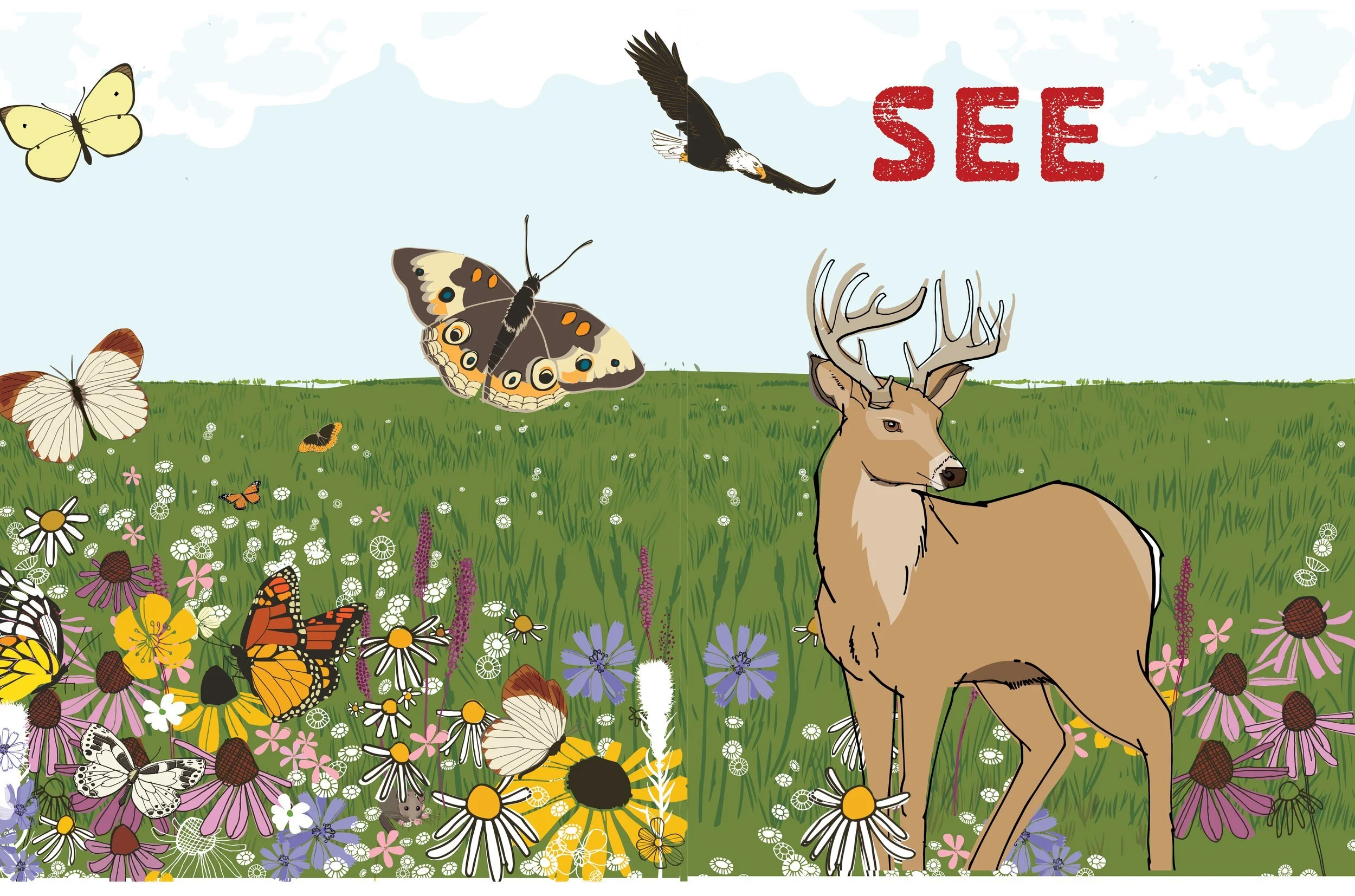 The Kid's Ultimate Animal Adventure Book spread